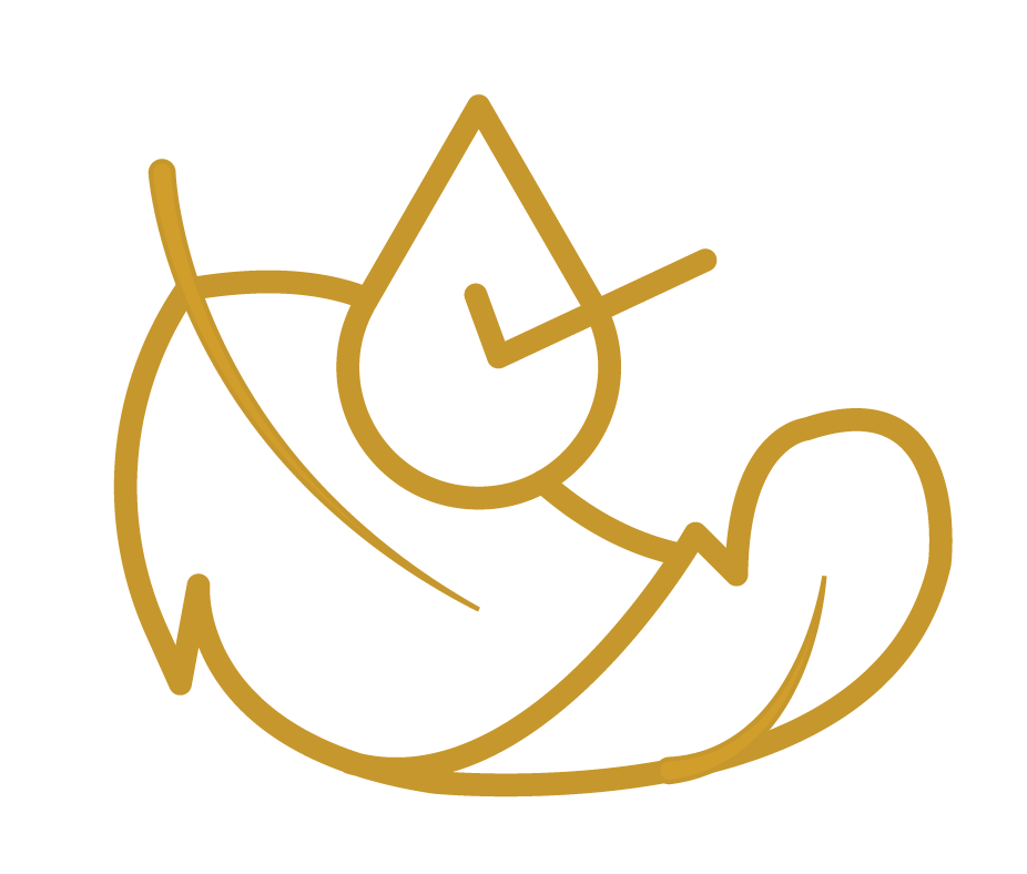 Aktionsbanner